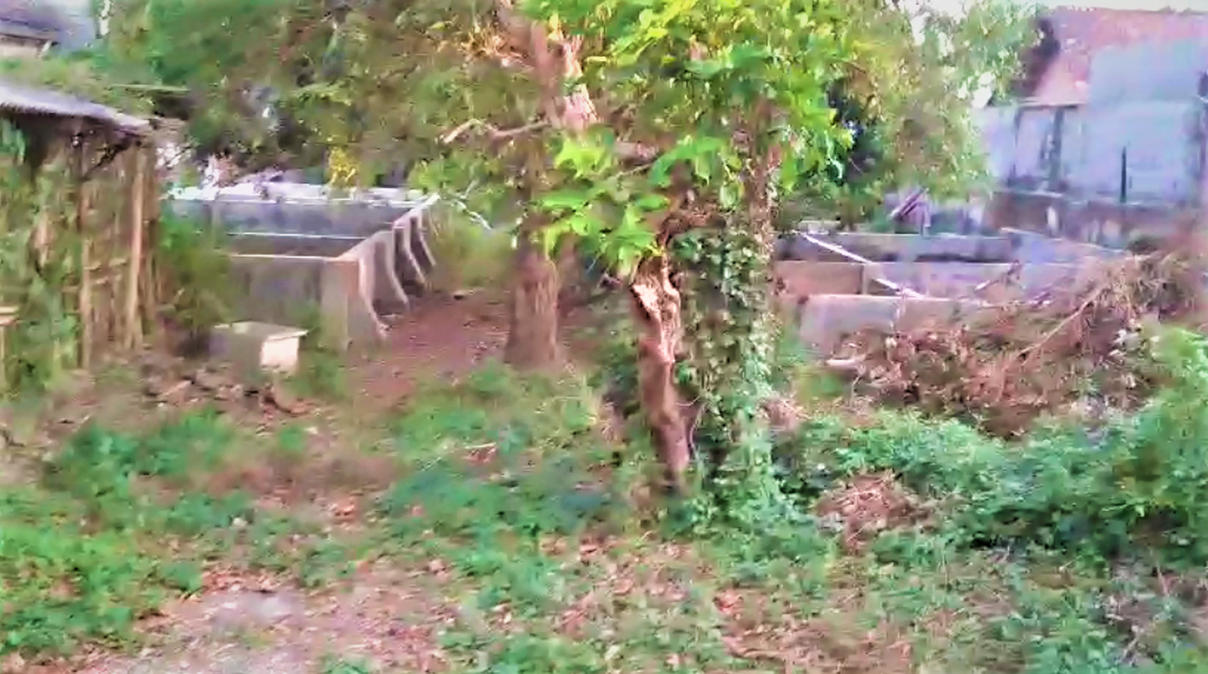 Rumah Dijual Di Blitar BU