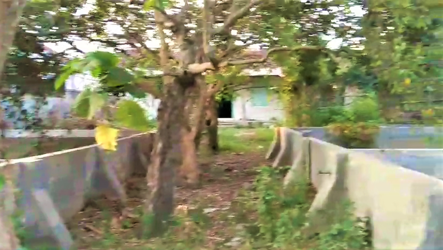 Rumah Dijual Di Blitar BU