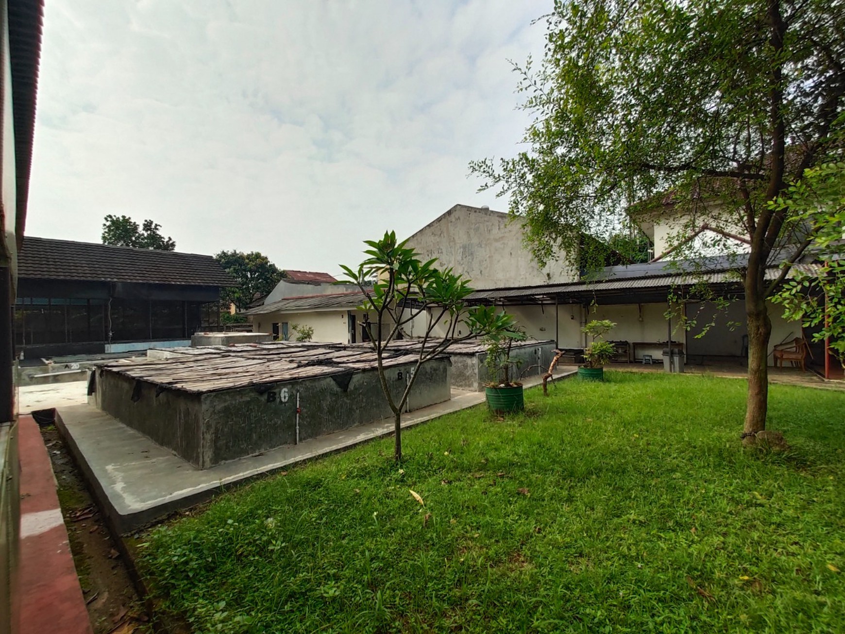 Rumah Asri dengan Tanah Luas di Pamulang Timur