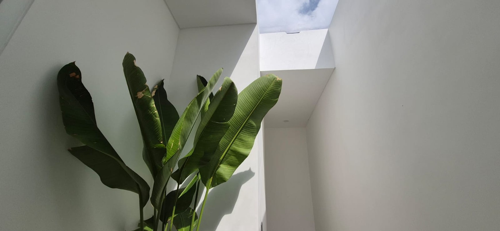 Leasehold - A modern townhouse takes simpliciy and serenity in Seminyak, Bali