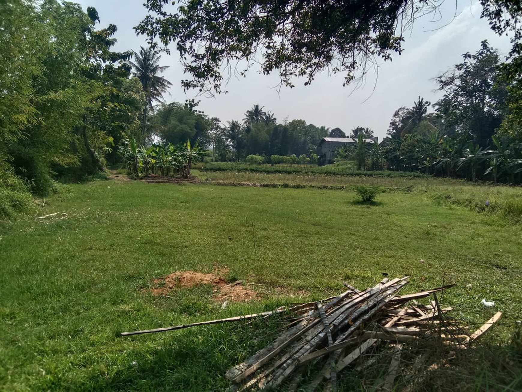 Dijual Tanah Sawah Luas 2145 Meter Persegi di Seyegan Sleman 