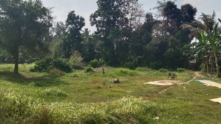 Dijual Tanah Sawah Luas 2145 Meter Persegi di Seyegan Sleman 