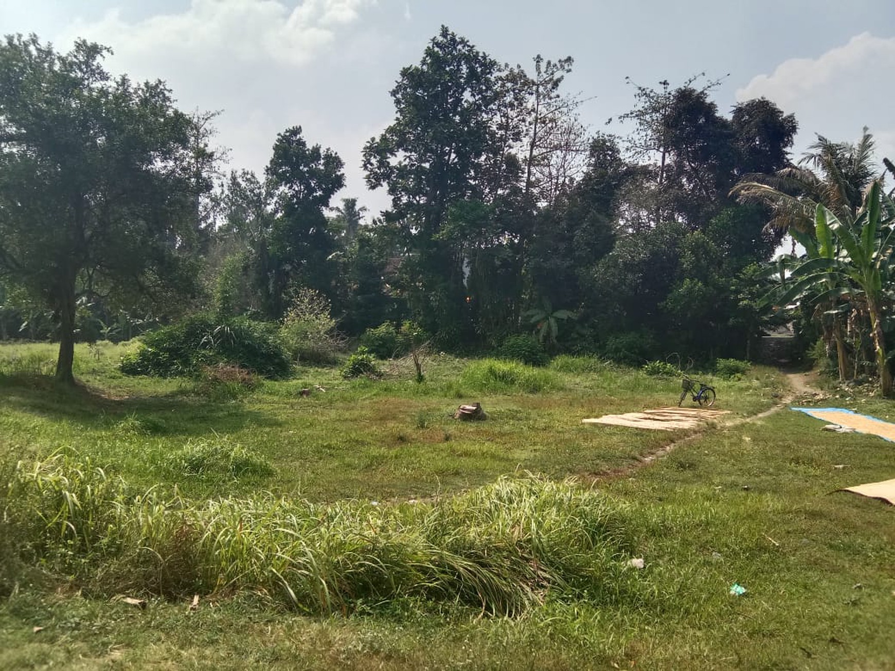 Dijual Tanah Sawah Luas 2145 Meter Persegi di Seyegan Sleman 
