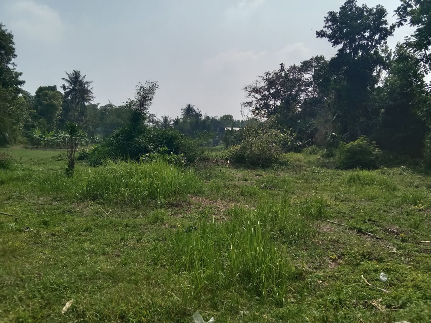 Dijual Tanah Sawah Luas 2145 Meter Persegi di Seyegan Sleman 