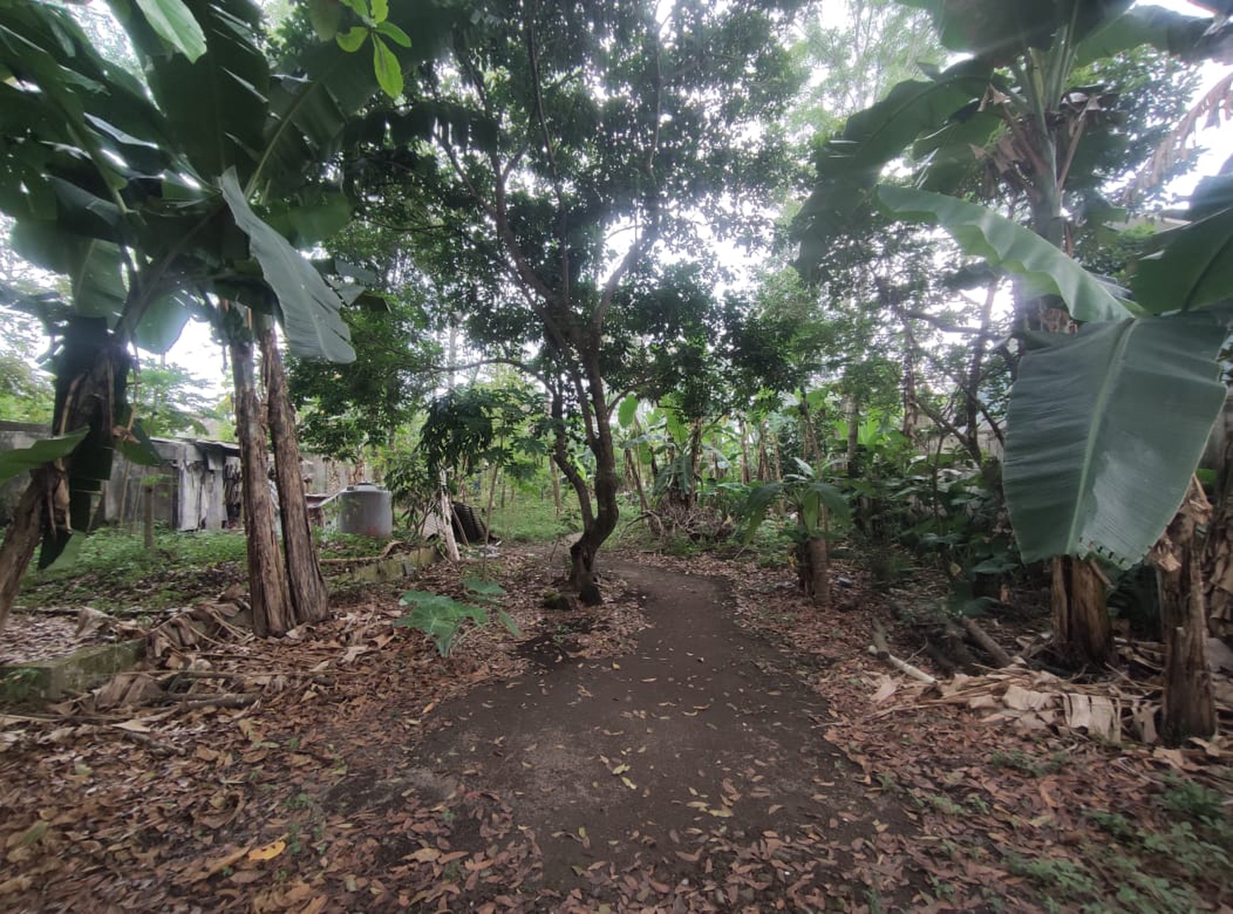 Tanah Pekarangan 1777 Meter Persegi Lokasi Dekat Jalan Kaliurang Km 8, Sinduharjo, Ngaglik, Sleman