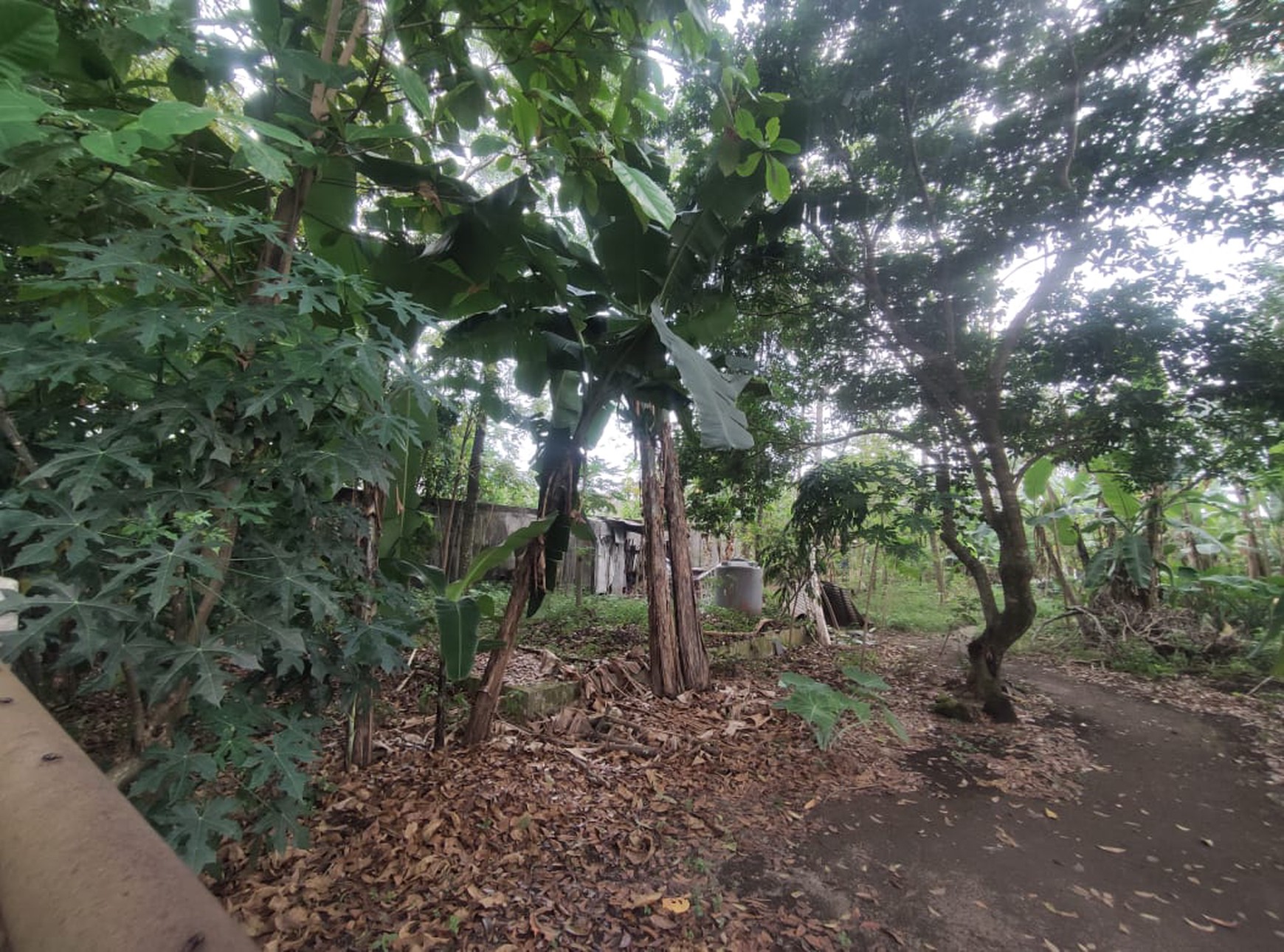 Tanah Pekarangan 1777 Meter Persegi Lokasi Dekat Jalan Kaliurang Km 8, Sinduharjo, Ngaglik, Sleman