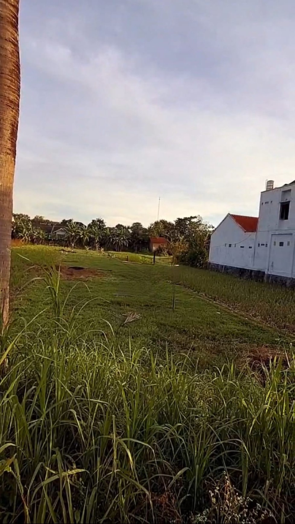 Tanah 258 Cocok Untuk Ruang Usaha Lokasi Dekat SMKN 1 Sewon Bantul