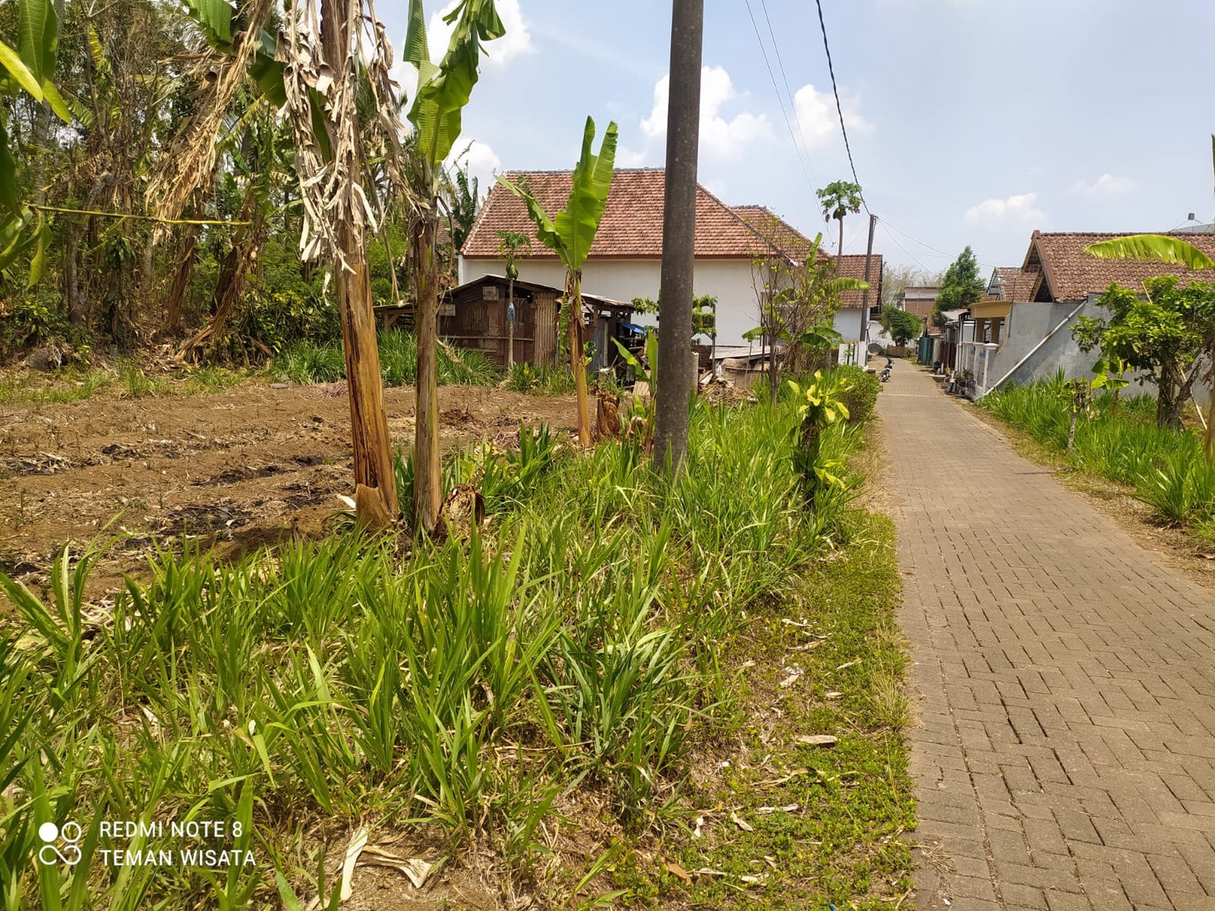 Jual Cepat Tanah SHM Dekat Dengan Agrowisata Kebun Teh Wonosari