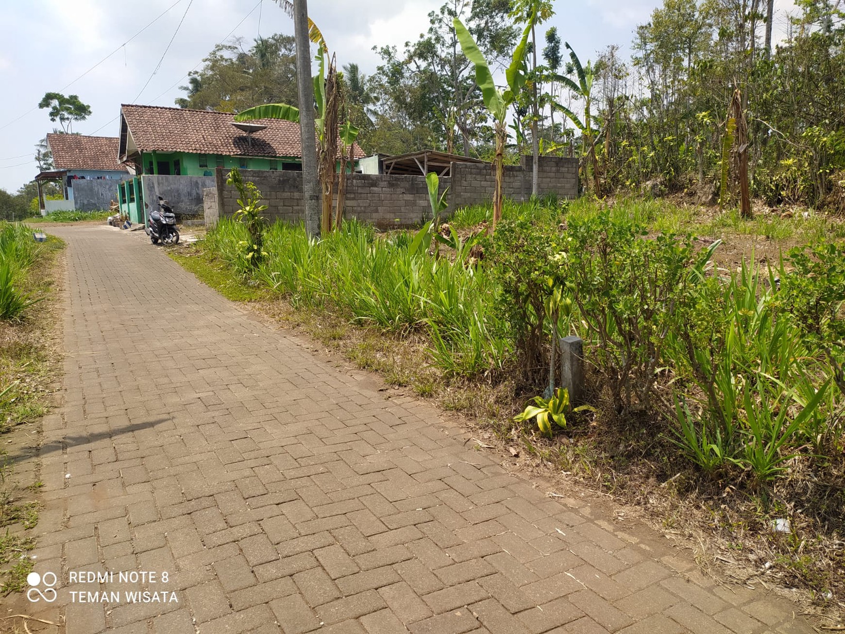 Jual Cepat Tanah SHM Dekat Dengan Agrowisata Kebun Teh Wonosari
