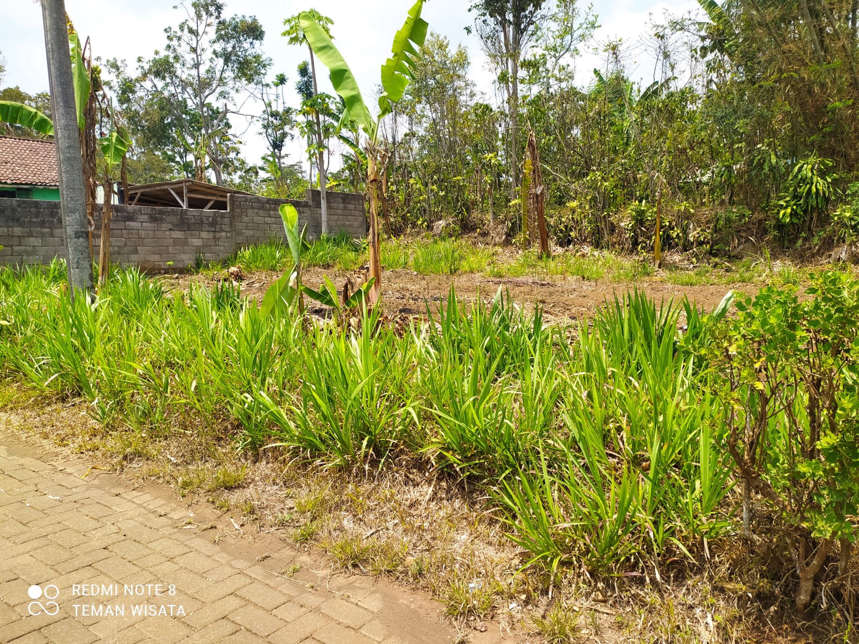 Jual Cepat Tanah SHM Dekat Dengan Agrowisata Kebun Teh Wonosari
