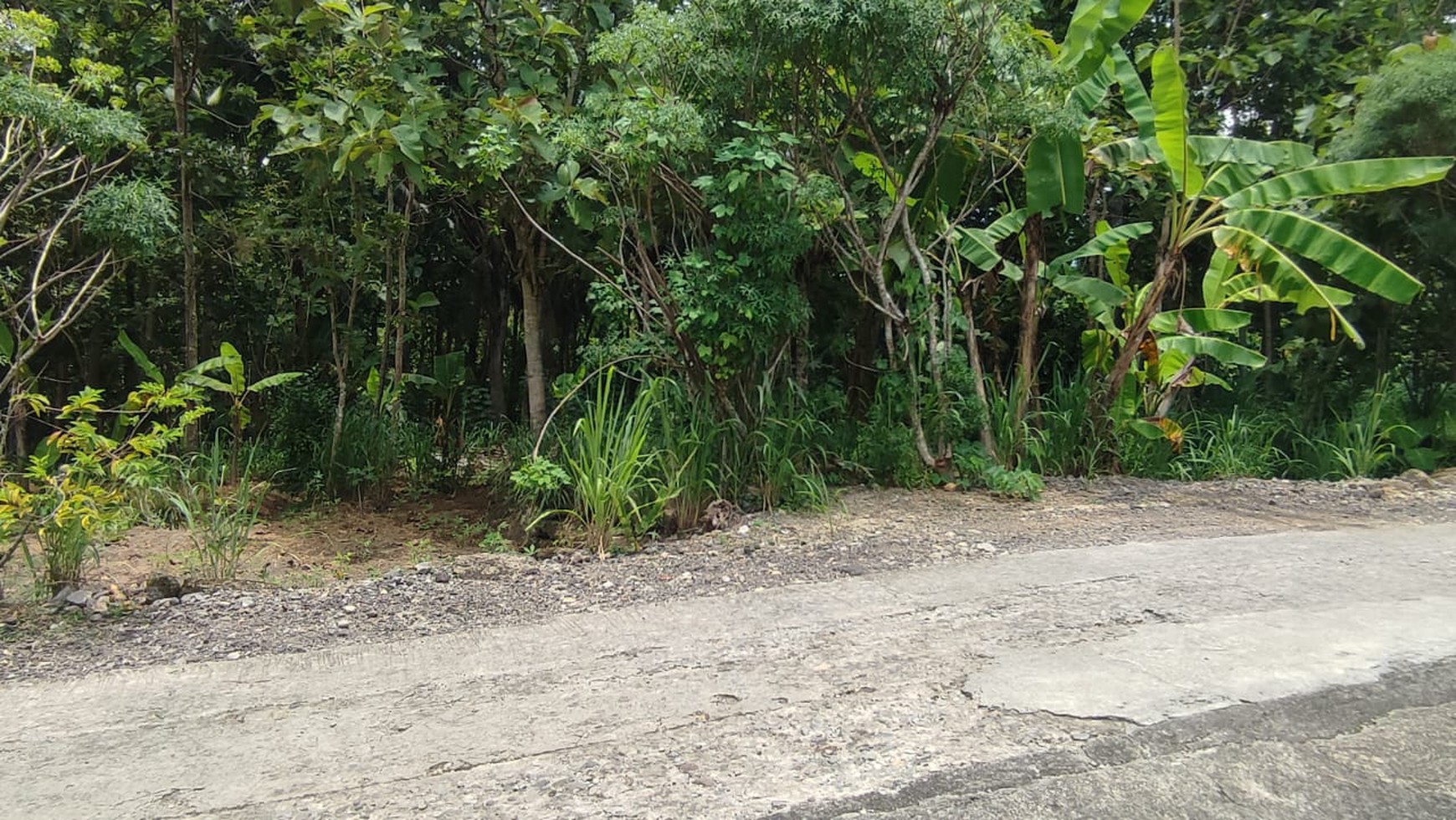 Kavling Siap Bangun Di Desa Kedung Sari Kulonprogo Jogjakarta