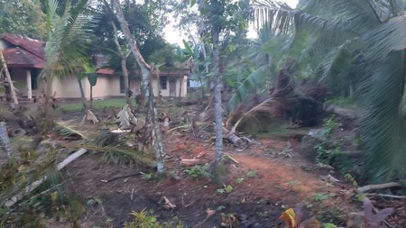 Kavling Siap Bangun Di Kulon Progo, Dekat Bandara YIA Yogjakarta