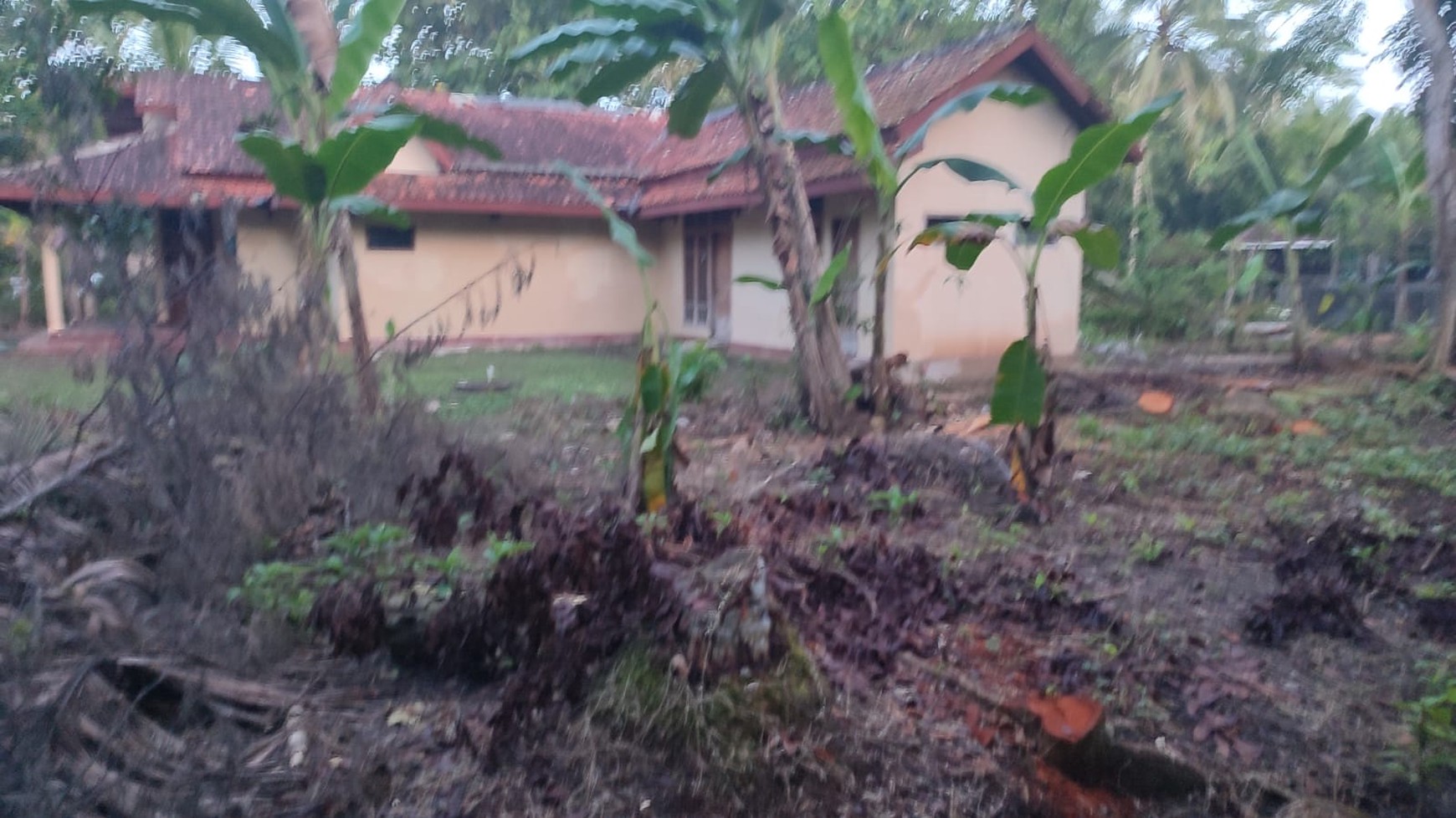 Kavling Siap Bangun Di Kulon Progo, Dekat Bandara YIA Yogjakarta
