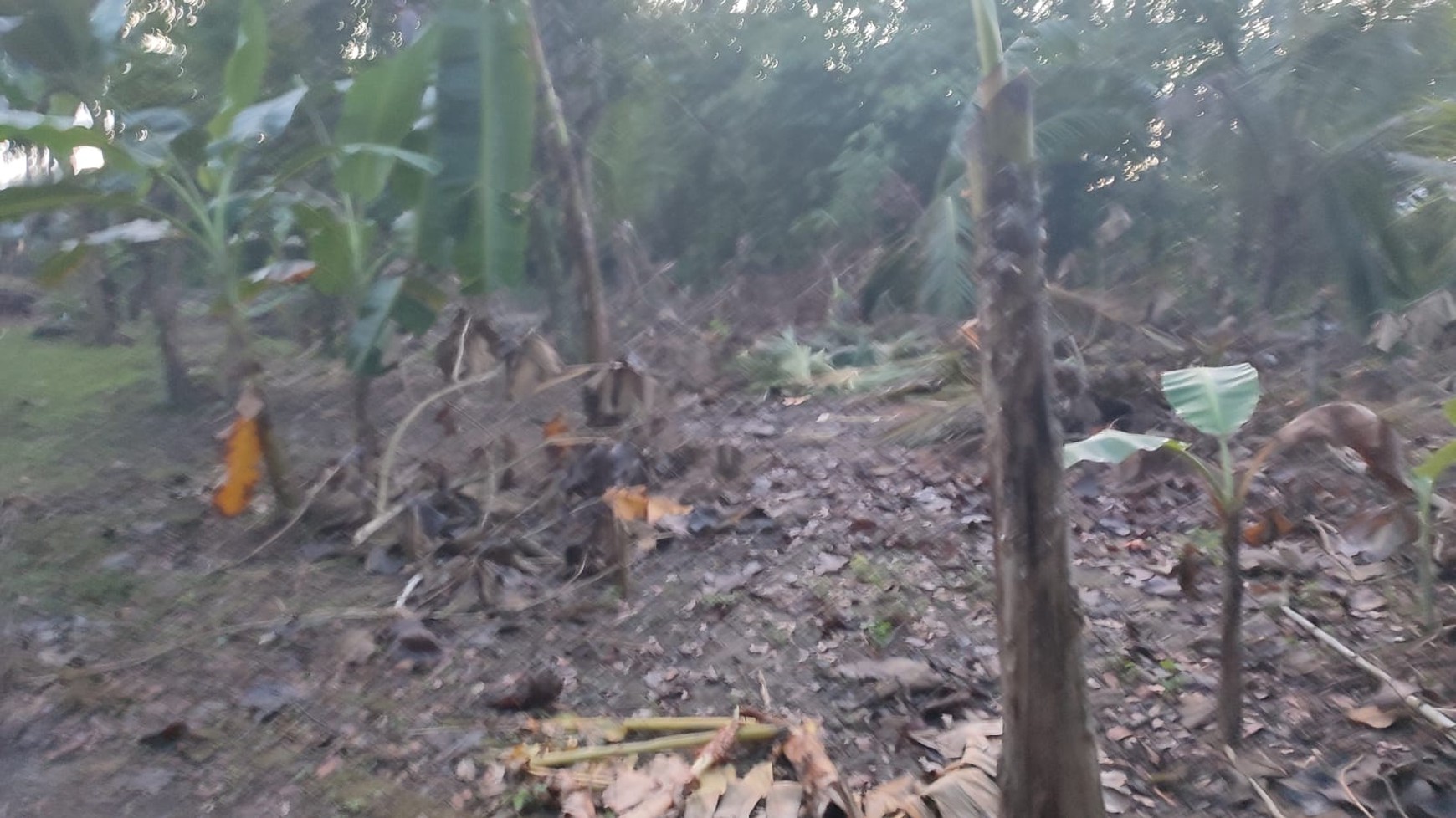 Kavling Siap Bangun Di Kulon Progo, Dekat Bandara YIA Yogjakarta