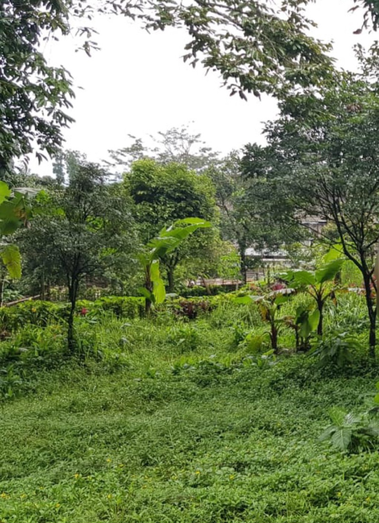 Rumah Villa Di Batu Raden, hitung tanah Lokasi Bagus View Kota