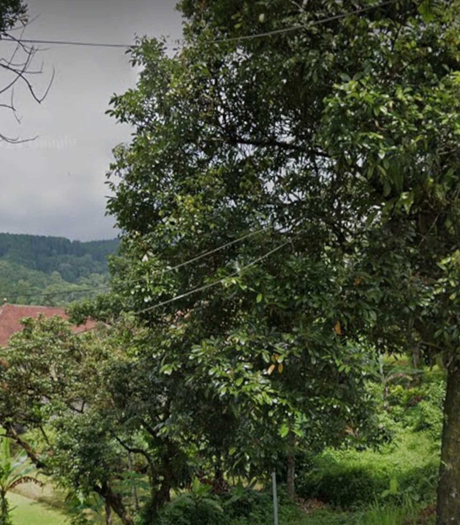 Rumah Villa Di Batu Raden, hitung tanah Lokasi Bagus View Kota