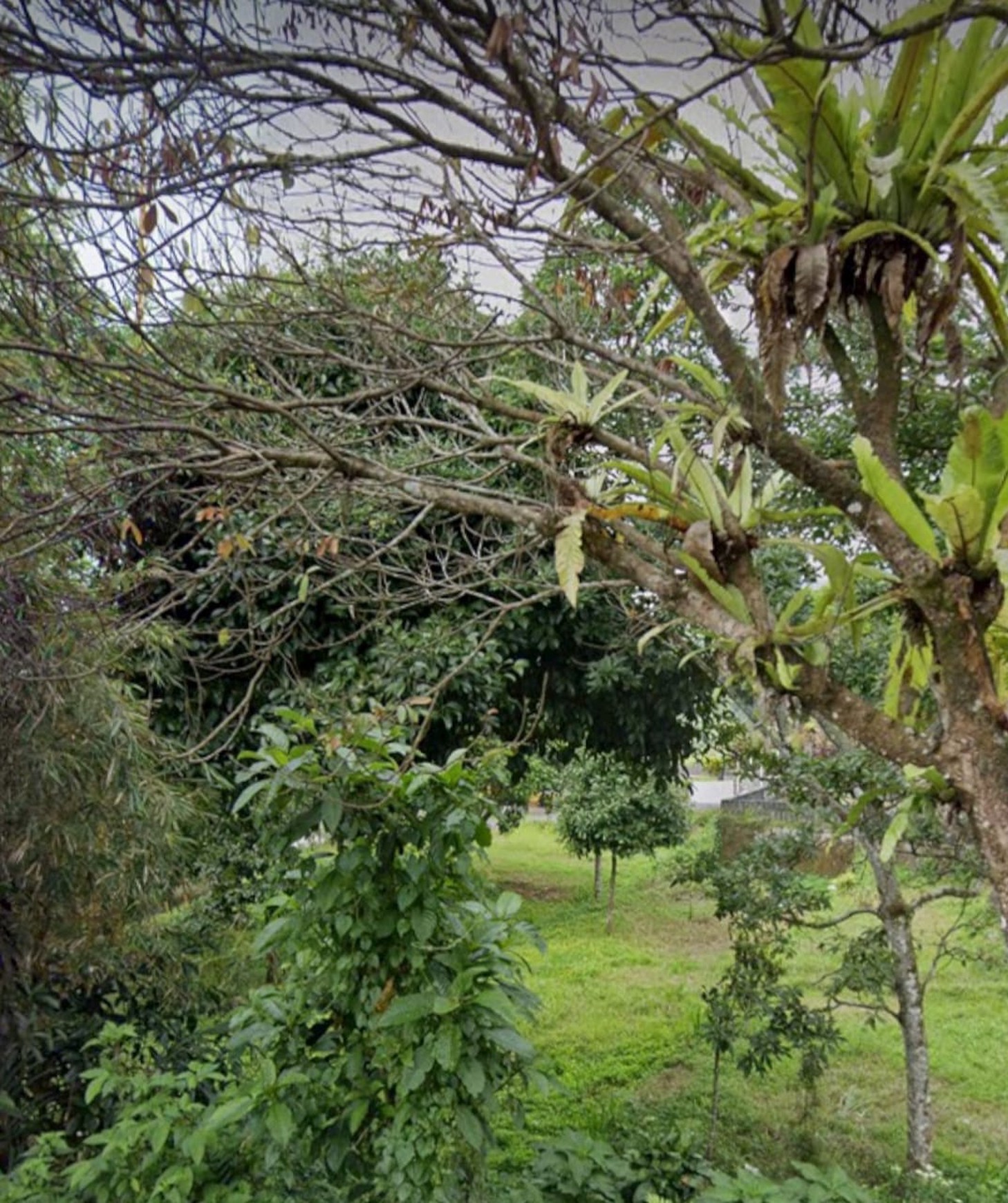 Rumah Villa Di Batu Raden, hitung tanah Lokasi Bagus View Kota