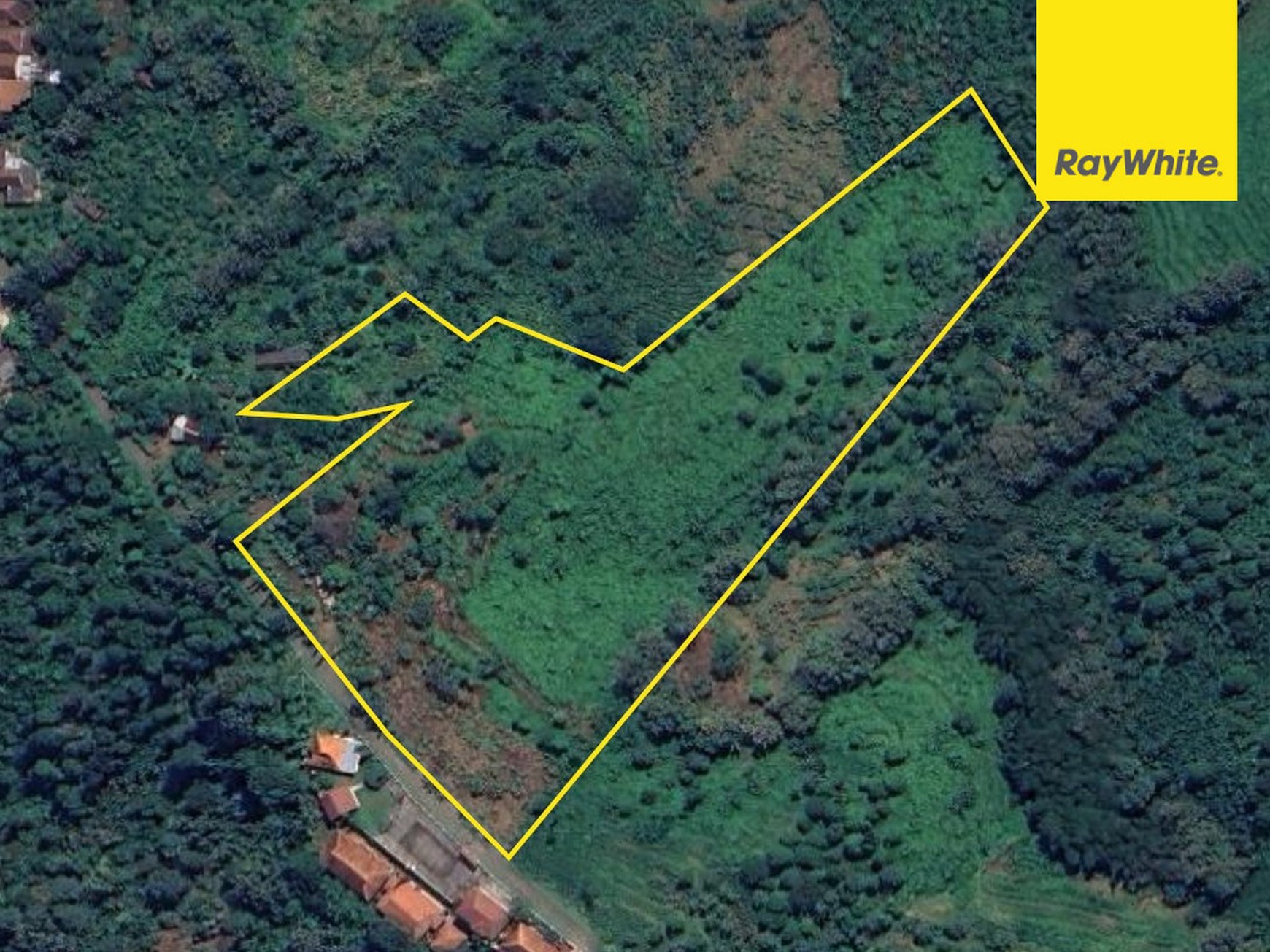 Tanah Kebun 2,5 Ha SHM di Wonokerto Wonosalam Jombang