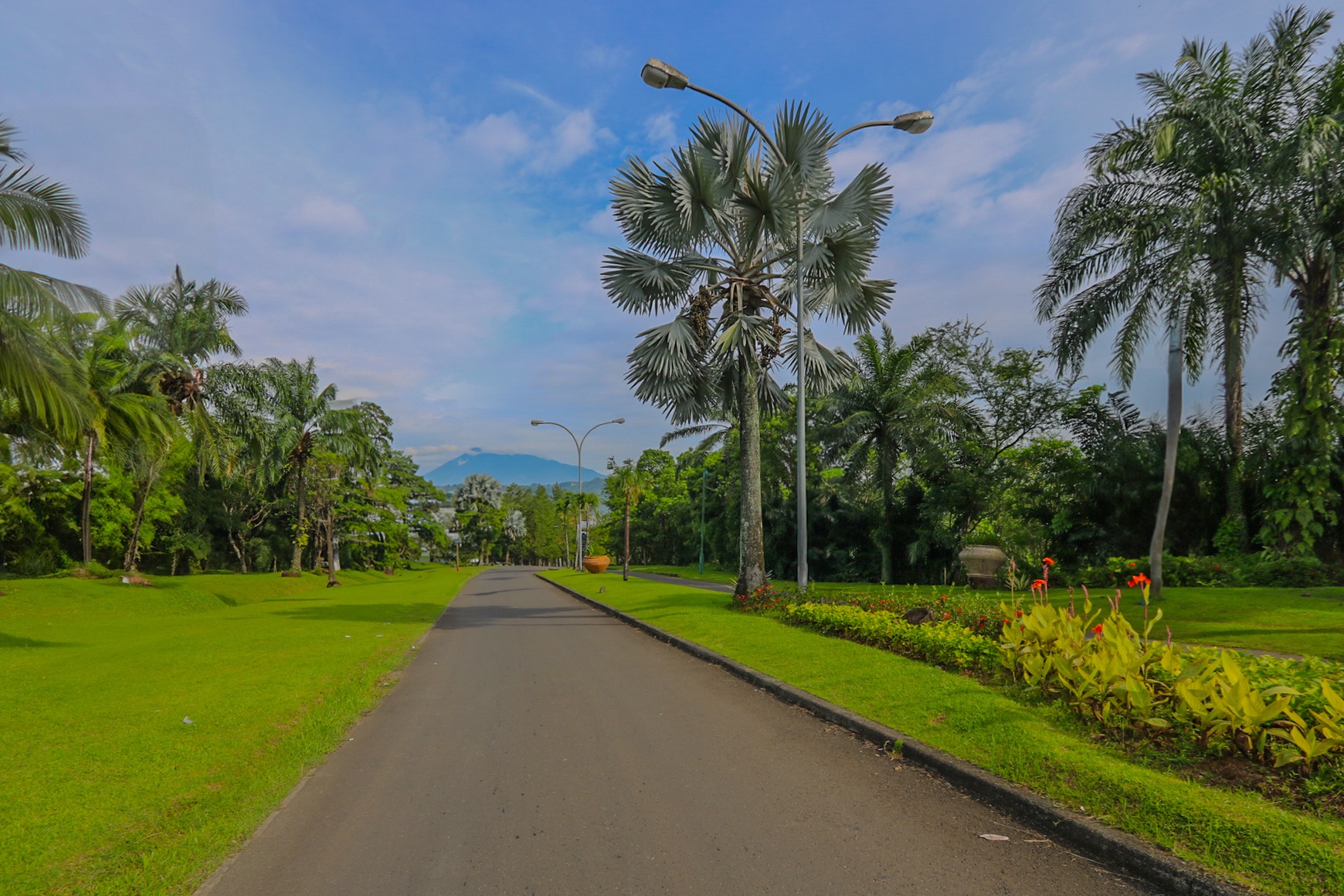 Rumah Hook Minimal dan Modern, Tanglin Parc, Sanctuary Collection Sentul, Suasana Pegunungan yang sejuk