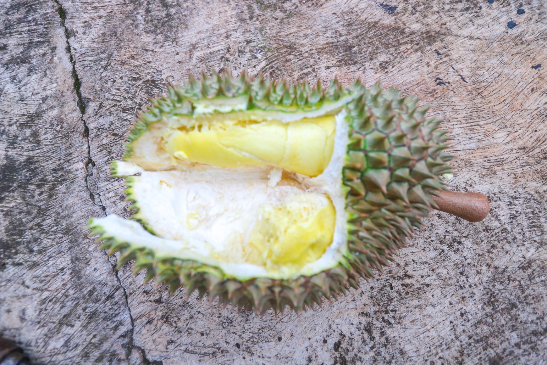 Kavling Tanah di Kalimalang Dekat Cawang, Duren Sawit, Pondok Kelapa, cocok untuk Cluster