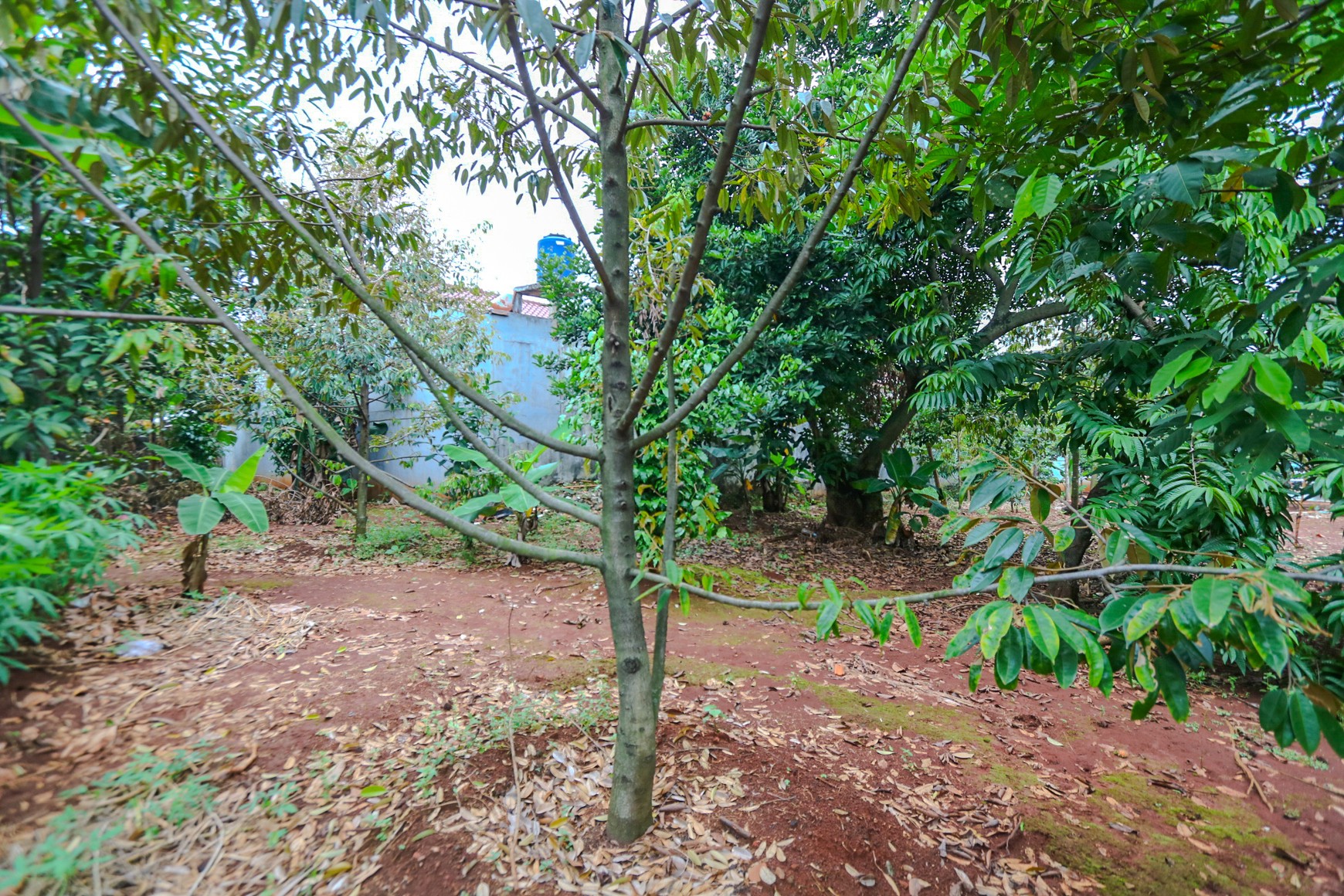 Kavling Tanah di Kalimalang Dekat Cawang, Duren Sawit, Pondok Kelapa, cocok untuk Cluster