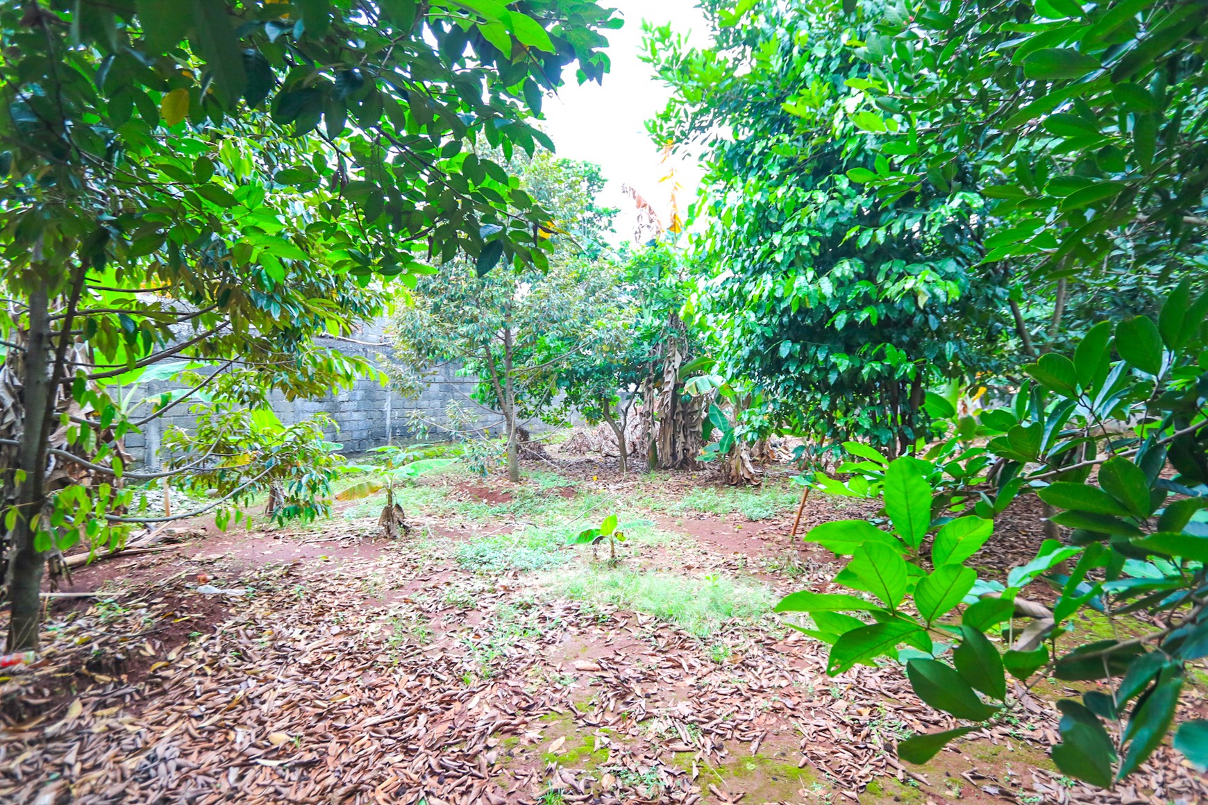Kavling Tanah di Kalimalang Dekat Cawang, Duren Sawit, Pondok Kelapa, cocok untuk Cluster