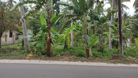 Kavling Siap Bangun Di Nagung Kedundang Kulonprogo Yogjakarta