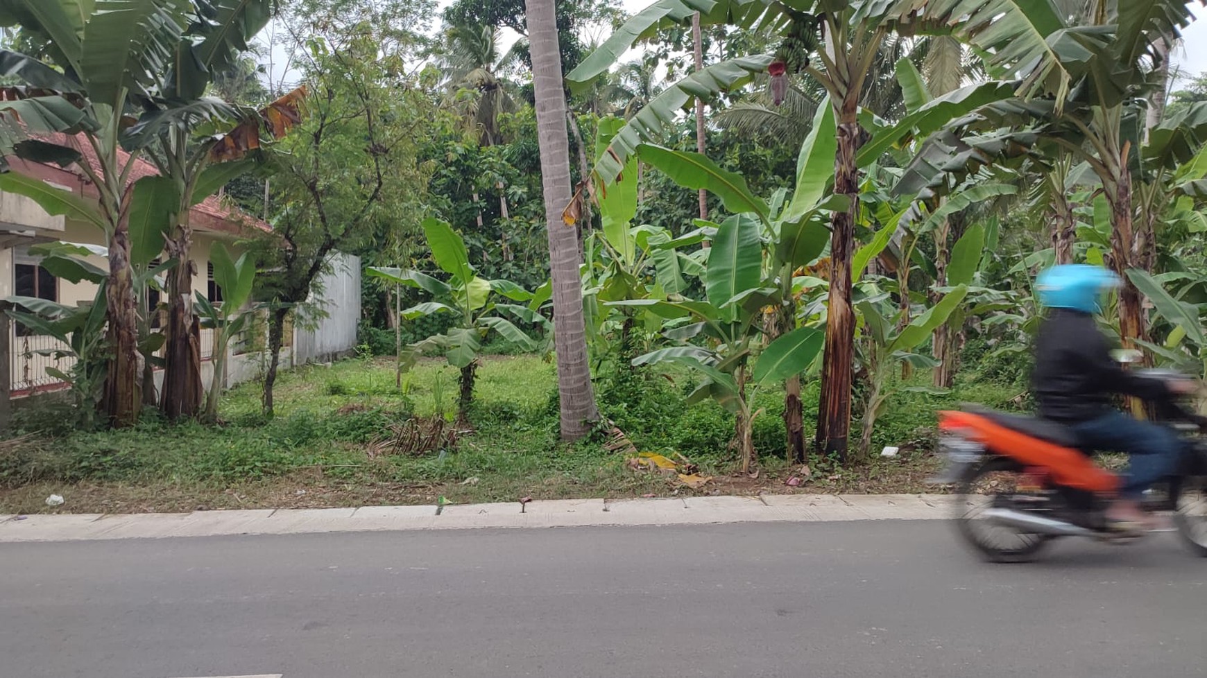 Kavling Siap Bangun Di Nagung Kedundang Kulonprogo Yogjakarta