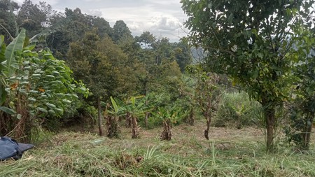 Dijual Tanah Di Bogor, Jawa Barat