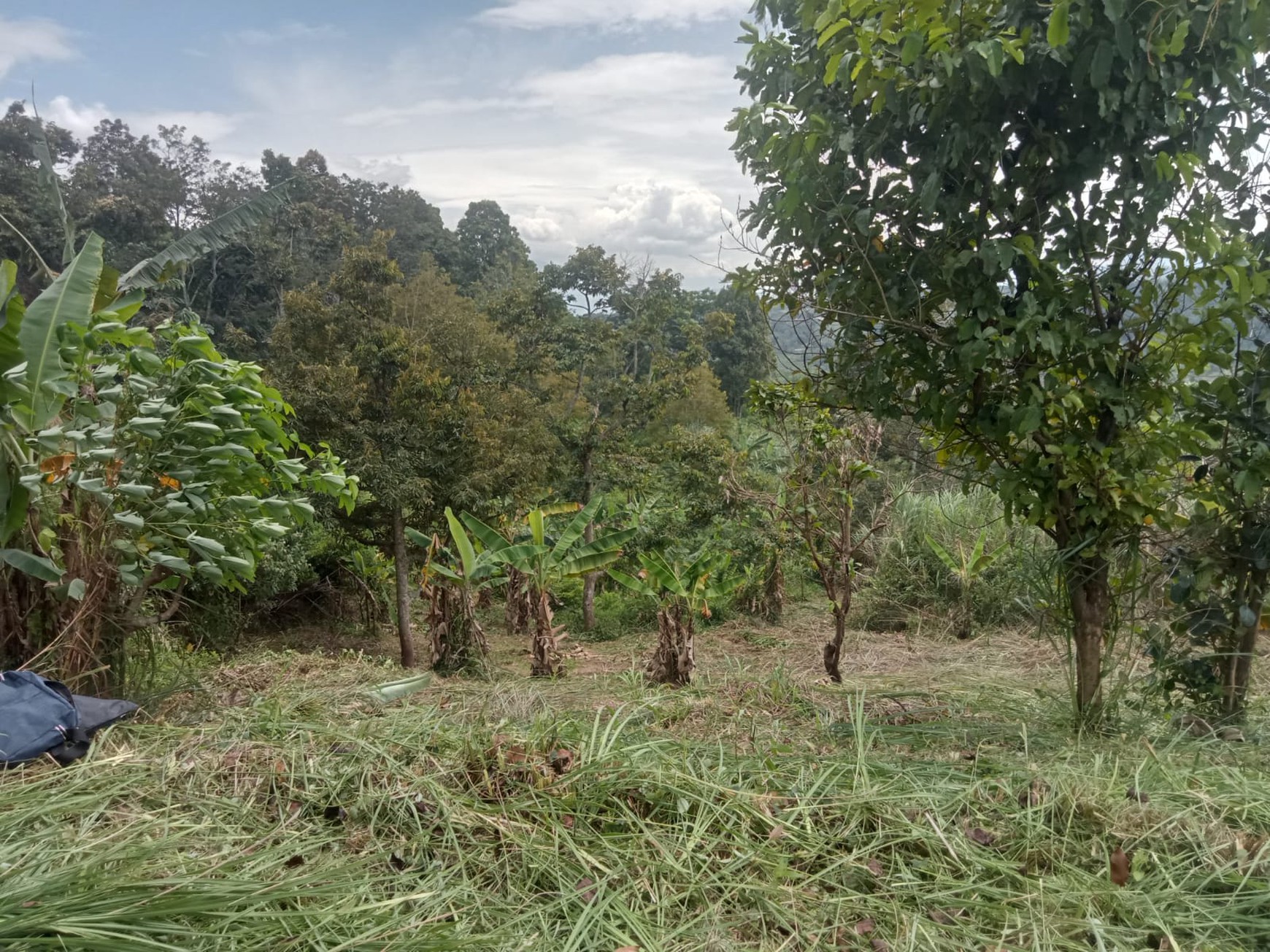 Dijual Tanah Di Bogor, Jawa Barat