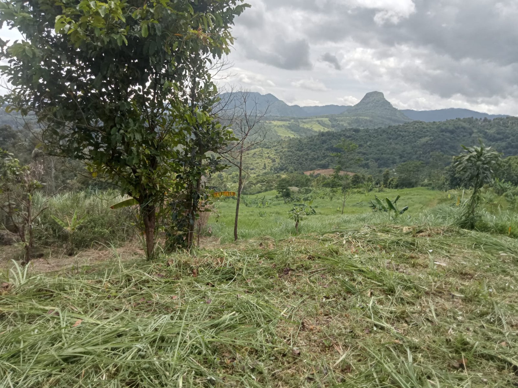 Dijual Tanah Di Bogor, Jawa Barat