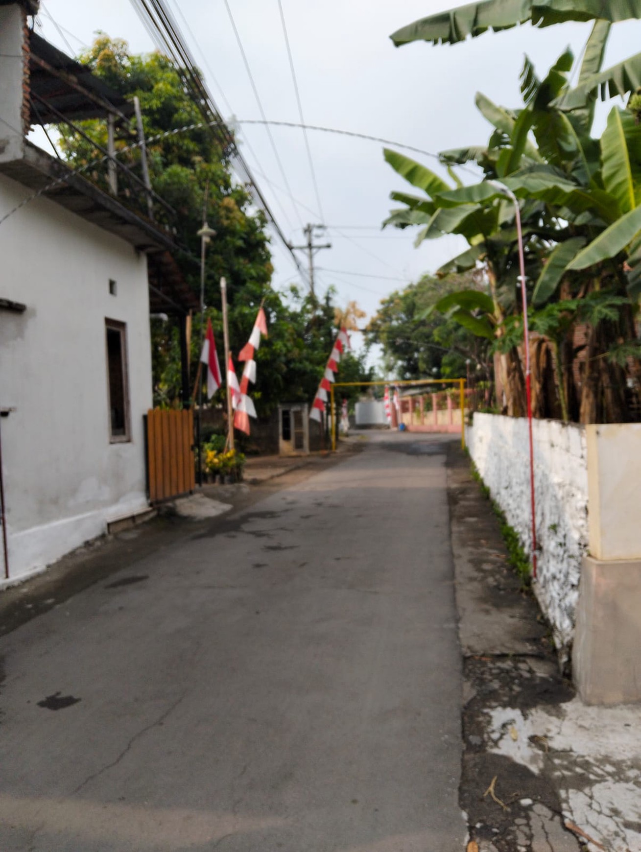 Tanah 1147 Meter Persegi Dekat Jalan Kalasan-Berbah Sleman
