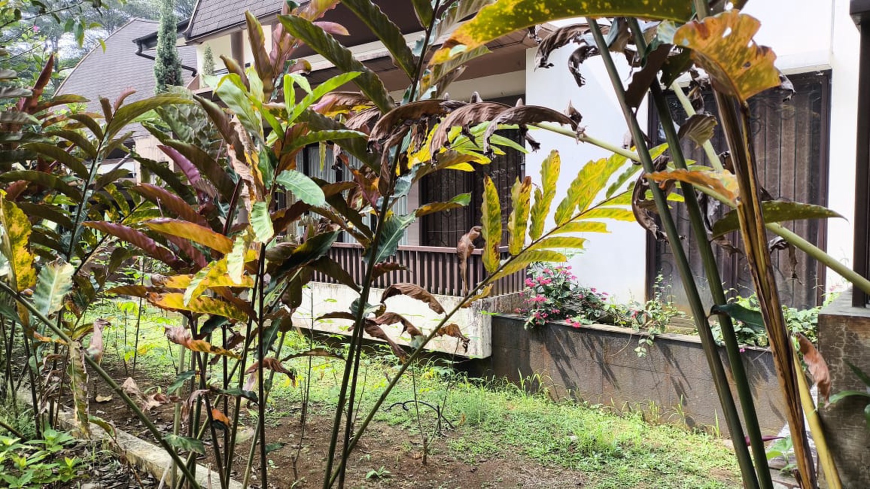 Villa Vimala Hills Puncak Bogor, View Sejuk Pegunungan