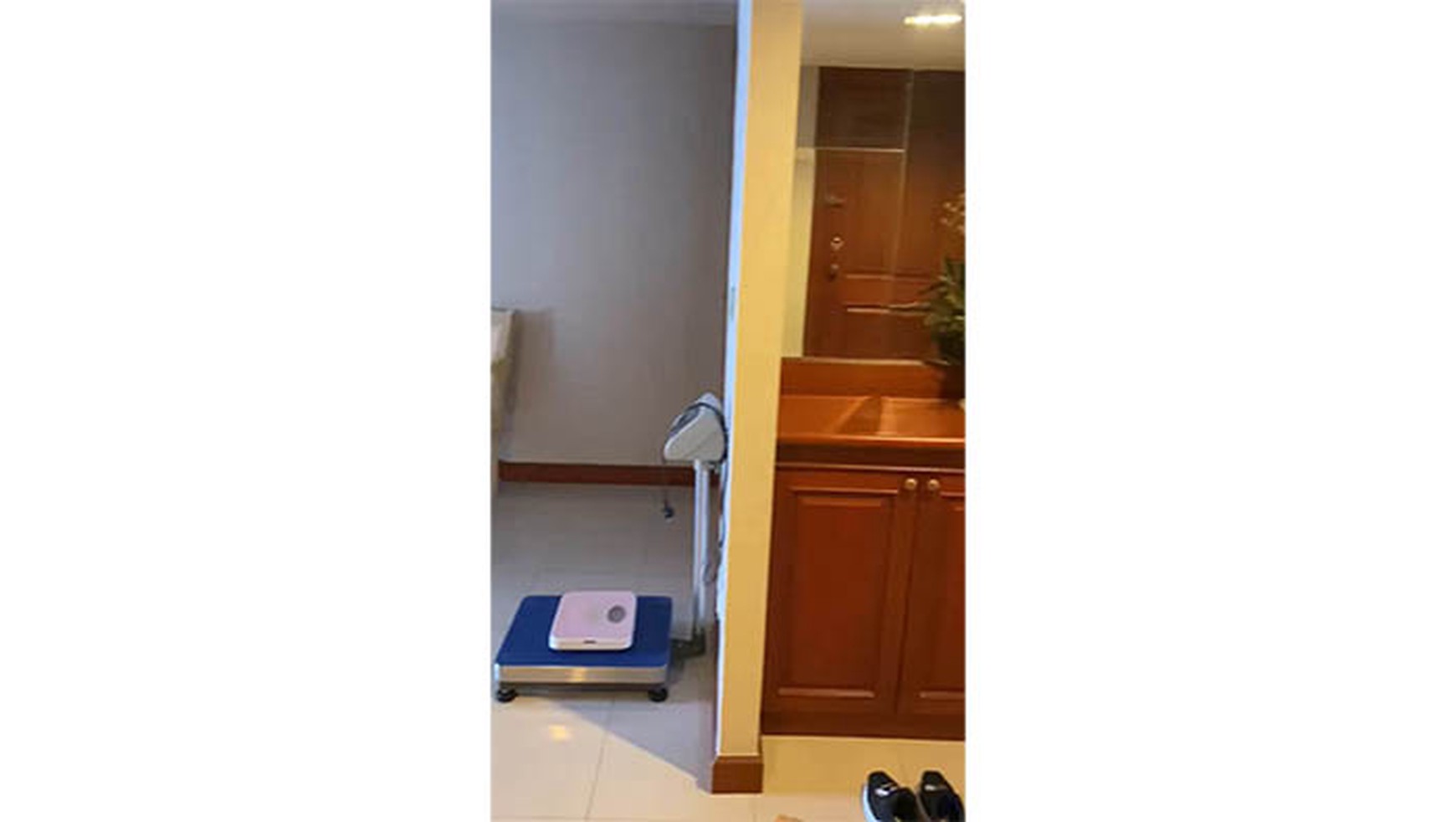 Apartemen Taman Anggrek