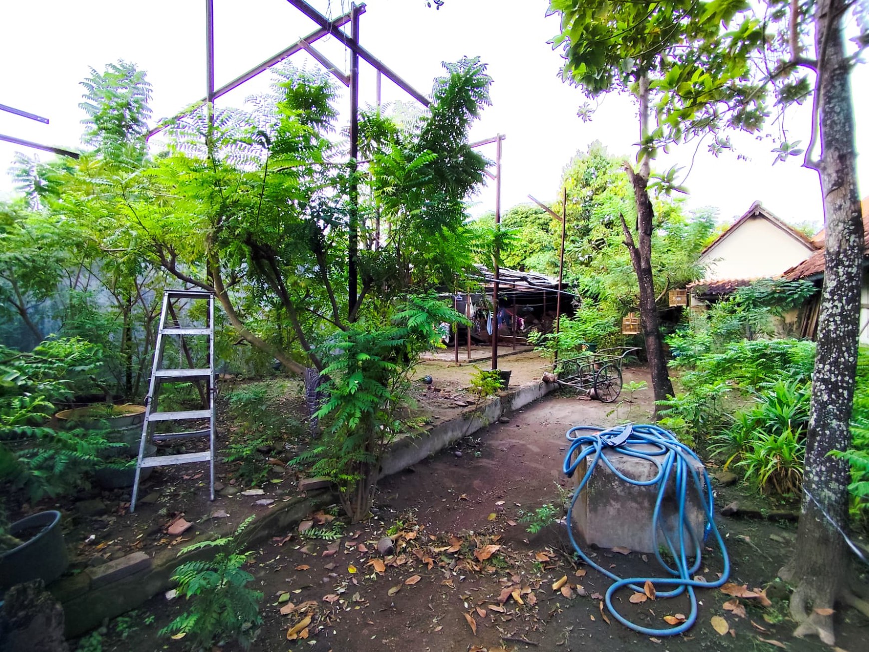 Rumah Gaya Kolonial 1547 Meter Persegi Diarea Wisata Kota Yogyakarta