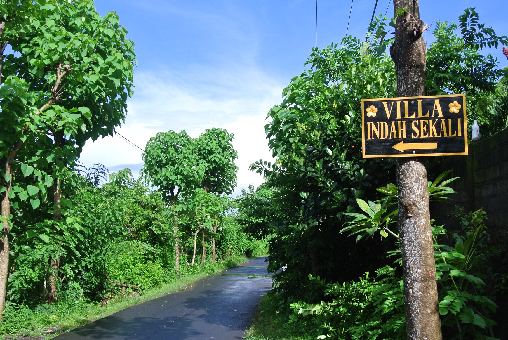 Villa for Sale Freehold - Where Luxury Meets the Sea - Rare Oceanview Villa in Amed, Bali!
