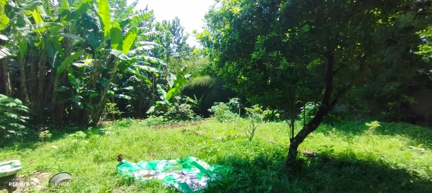 Jual cepat tanah kavling di rawakalong gunung sindur bogor jawa barat