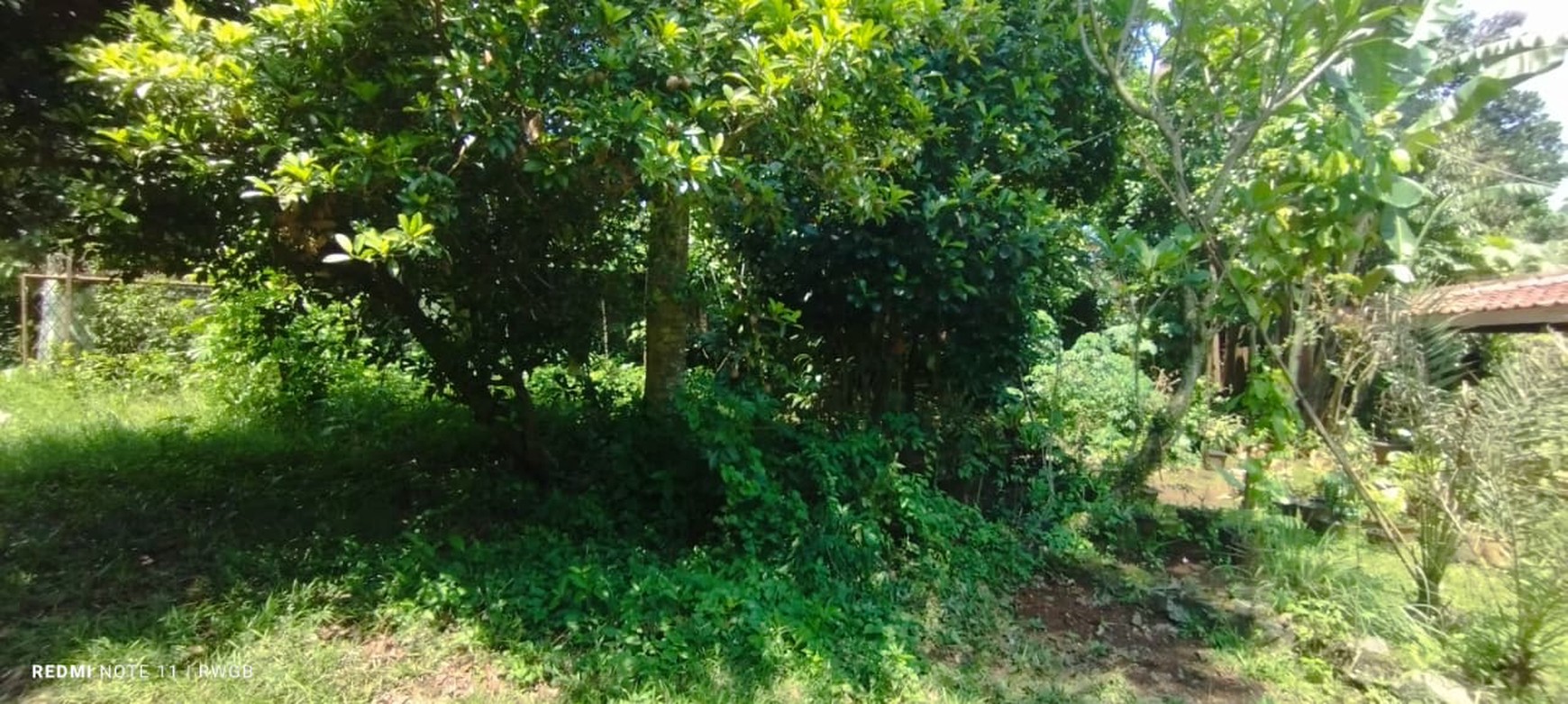 Jual cepat tanah kavling di rawakalong gunung sindur bogor jawa barat