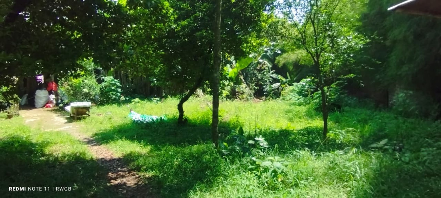 Jual cepat tanah kavling di rawakalong gunung sindur bogor jawa barat