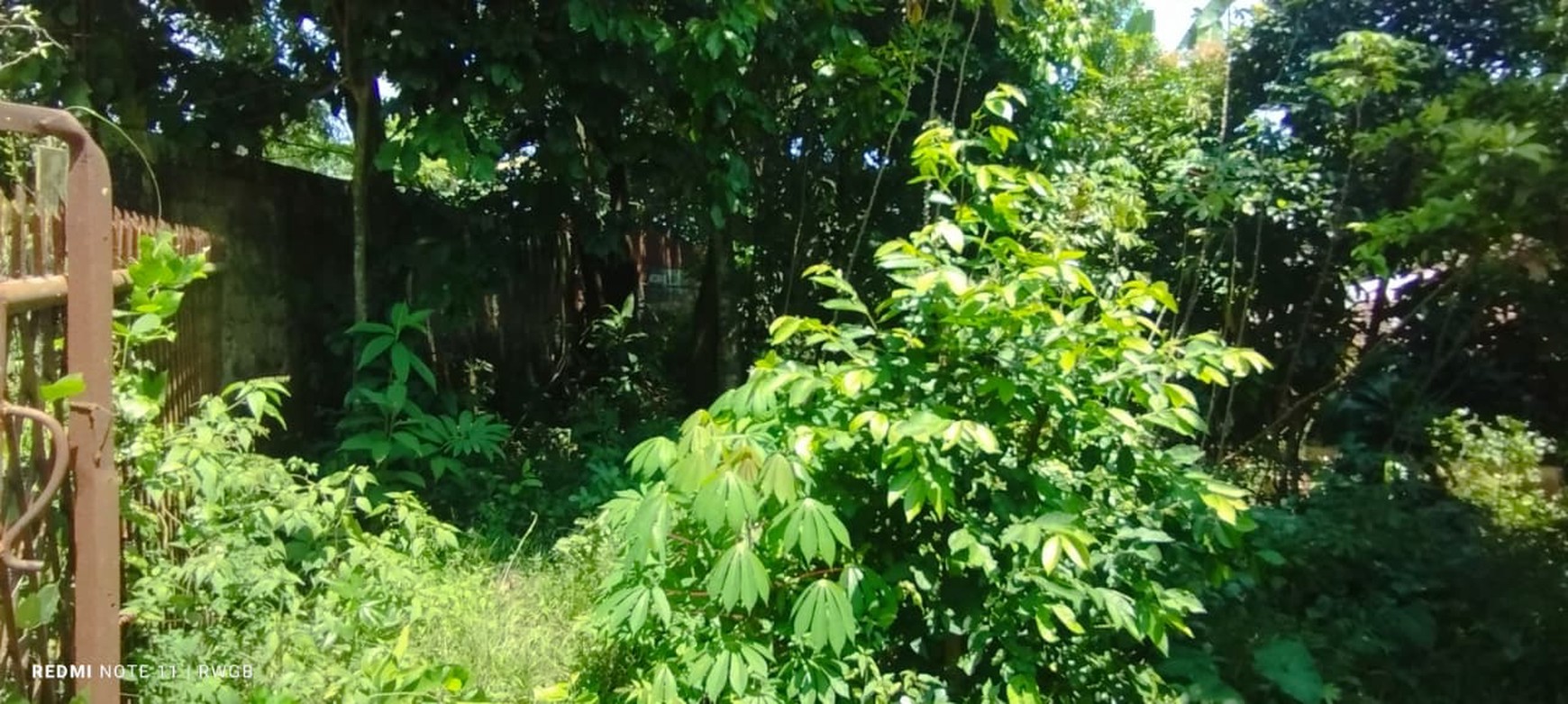 Jual cepat tanah kavling di rawakalong gunung sindur bogor jawa barat