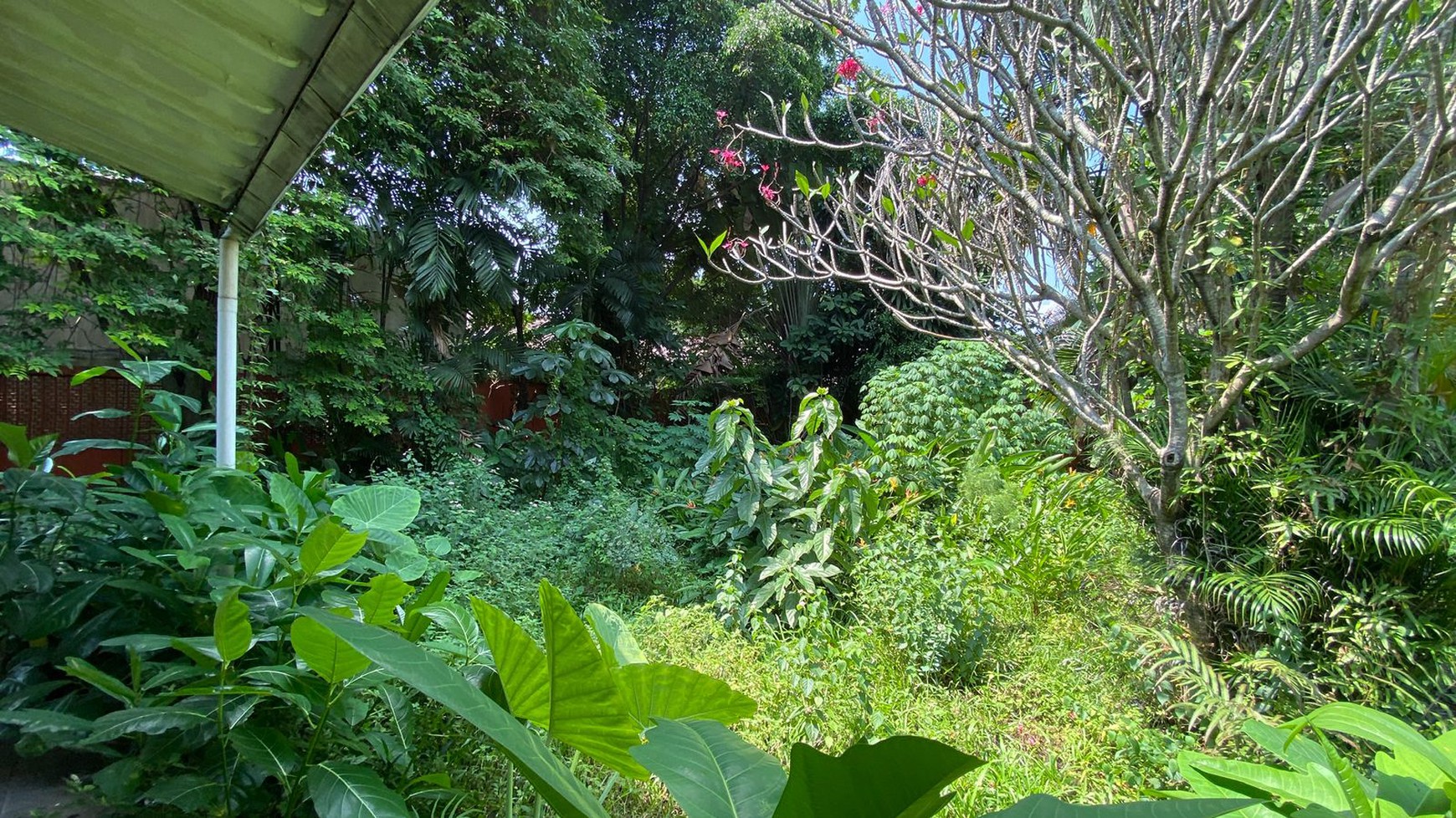 Dijual Rumah Tua Hitung Tanah 1.300 M di Kawasan Kemang Barat, Jakarta Selatan