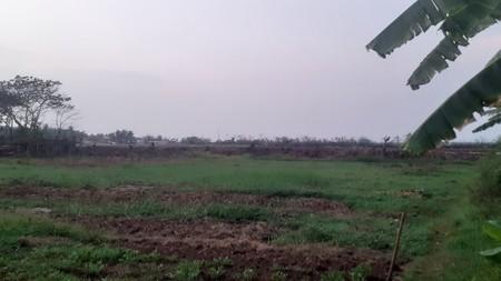 jual murah hanya 1.4jt/ m2 tanah kavling di Kohod Kp. Melayu Tangerang banten strategis