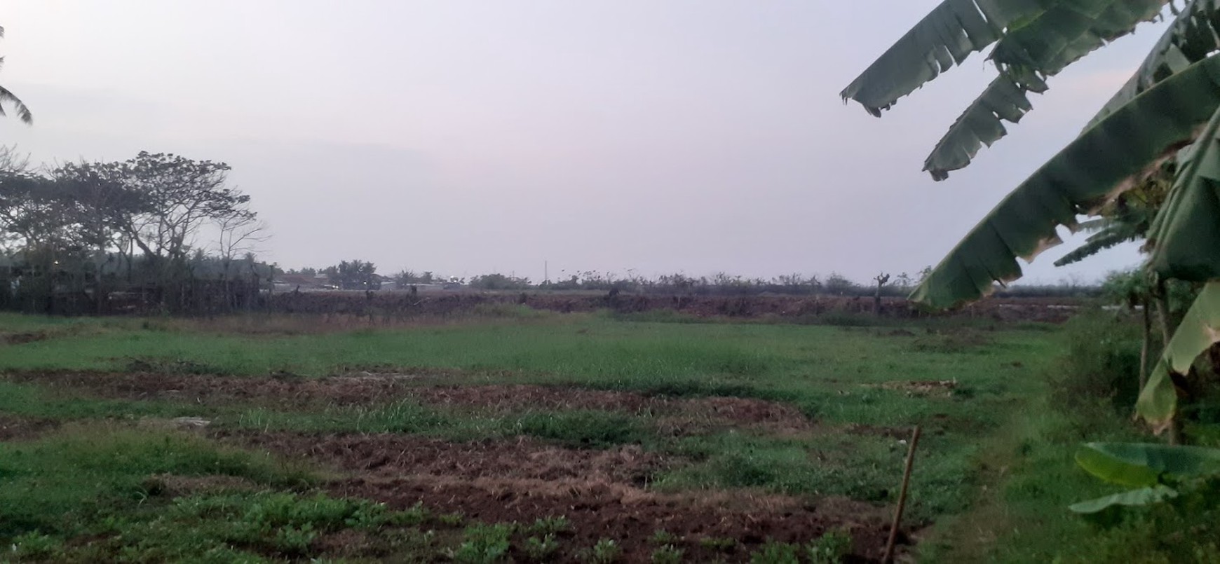 jual murah hanya 1.4jt/ m2 tanah kavling di Kohod Kp. Melayu Tangerang banten strategis