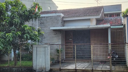 Rumah Tropical Design  Griya Loka BSD city 