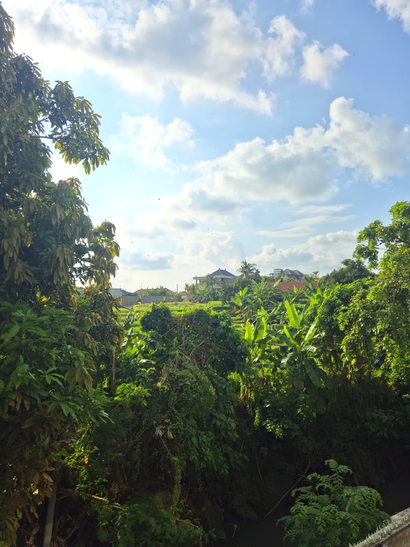 Villa Freehold With River and Rice Field View Kerobokan Bali