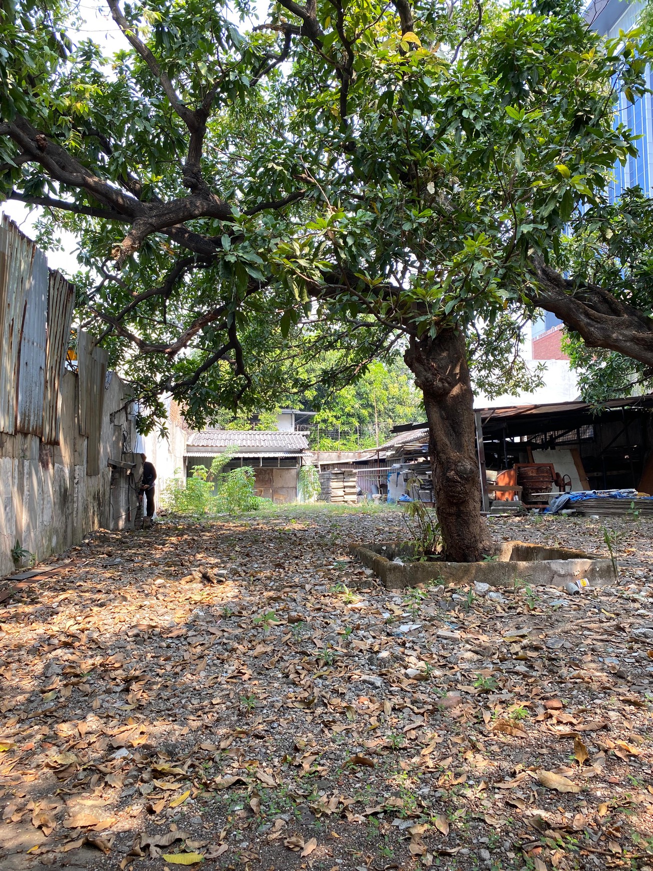 Beli Rumah Bonus Tanah di Jl Raya Kendangsari - Raya Jemursari (Tembus ke belakang)