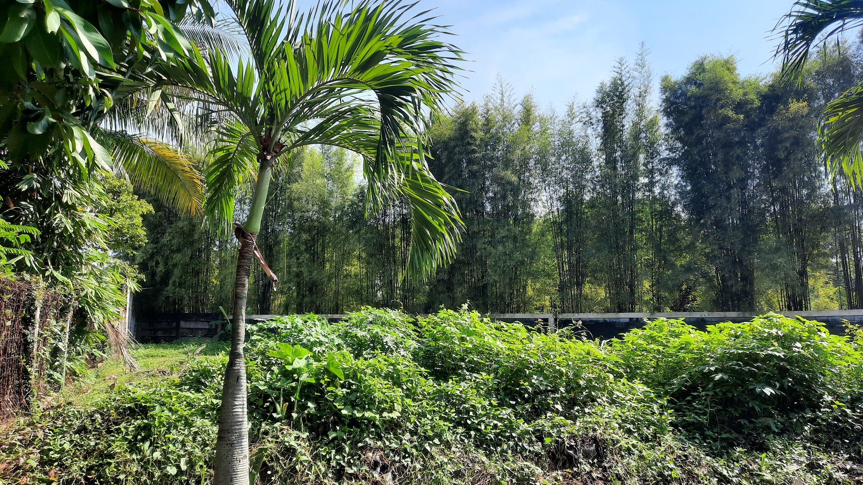 Tanah/Kavling Siap Bangun dengan Lokasi yang sangat Strategis di Cluster Tropikana Jababeka Residence dekat dengan berbagai Fasiitas Publik di Kota Jababeka