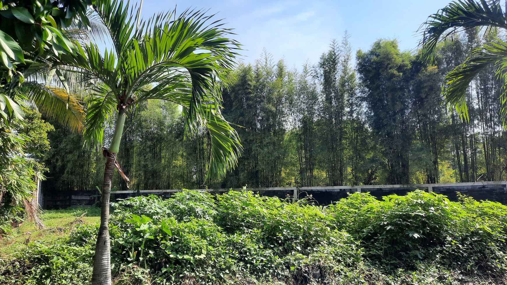 Tanah/Kavling Siap Bangun dengan Lokasi yang sangat Strategis di Cluster Tropikana Jababeka Residence dekat dengan berbagai Fasiitas Publik di Kota Jababeka