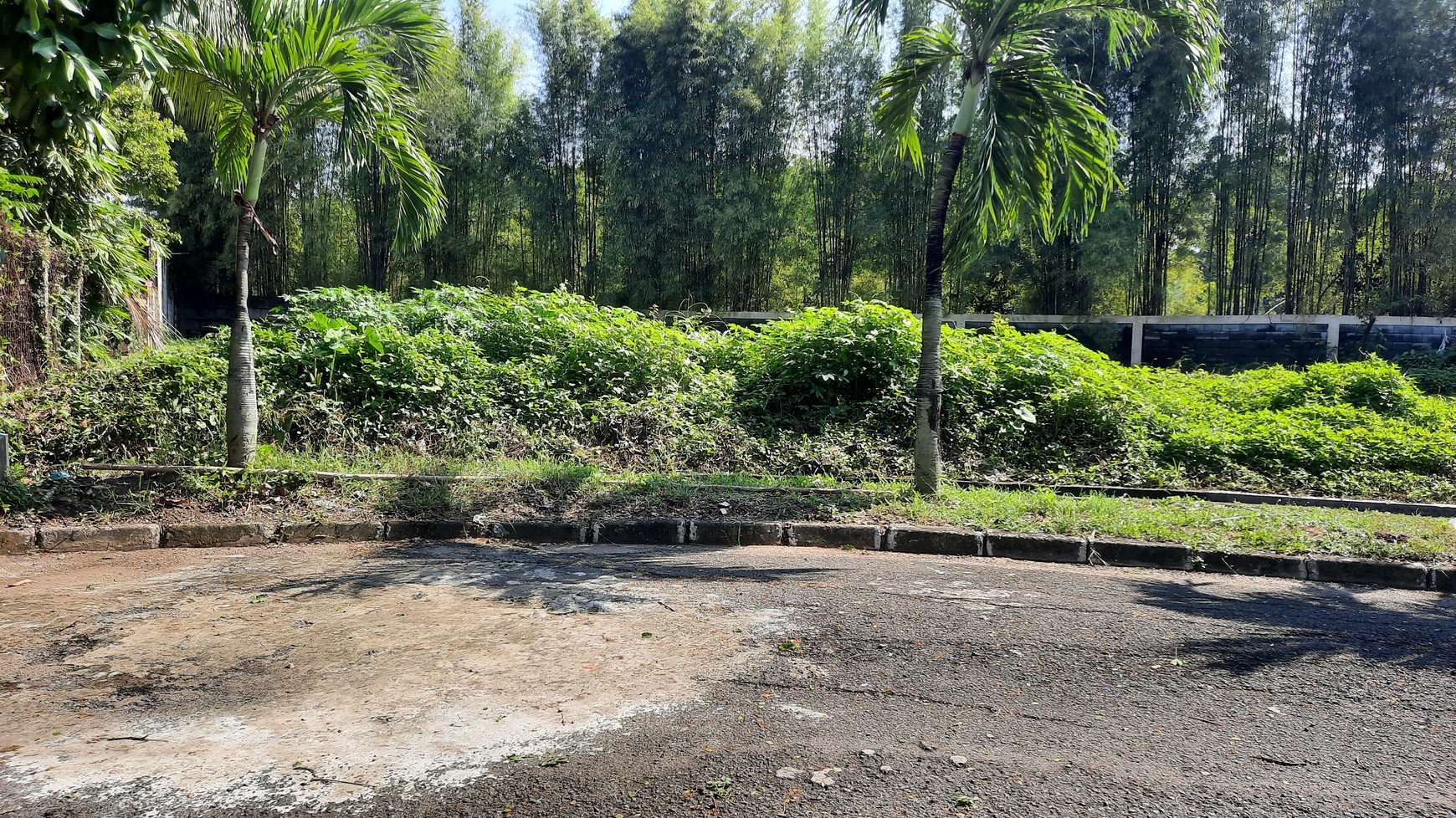 Tanah/Kavling Siap Bangun dengan Lokasi yang sangat Strategis di Cluster Tropikana Jababeka Residence dekat dengan berbagai Fasiitas Publik di Kota Jababeka