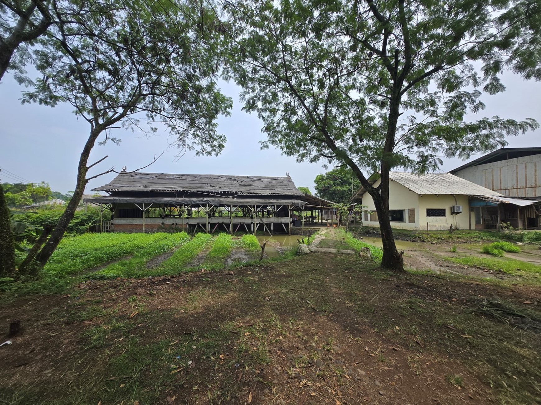  Dijual murah tanah luas, cocok pool, gudang , jalan raya, Cianjur.